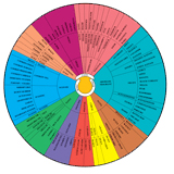 Beer Flavor Wheel
